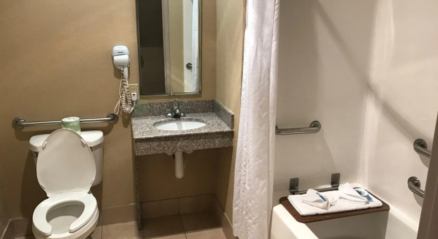 Номер Standard Holiday Inn Express Metropolis by IHG