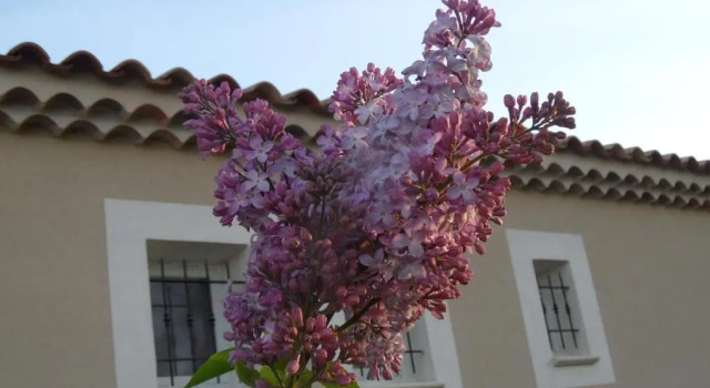 Коттедж Les Lilas des Chênes, Provence proche dOrange, Gorges de lArdèche, Mont Ventoux