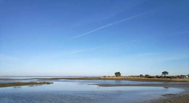 Вилла Confort et charme à 4km d'Arcachon centre