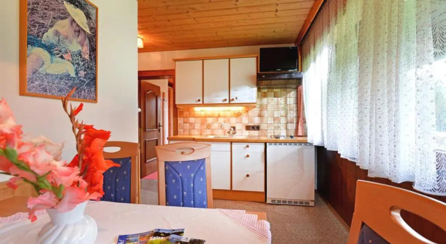 Апартаменты с 2 комнатами otto steiner appartements pension ellmau & wilder kaiser