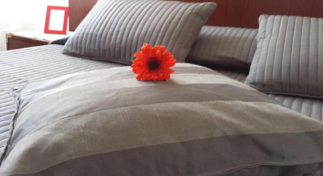 B&B Galleria Frascati