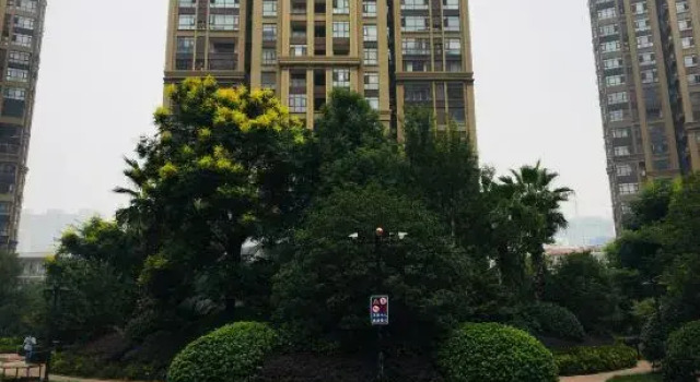 Zhengzhou Chengyi Homestay (Erqi Square David City Branch), Book Hotel Zhengzhou Henan