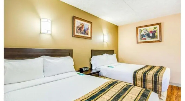 Четырёхместный люкс Quality Hotel & Conference Centre