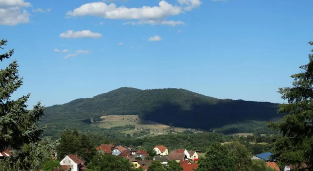 Люкс La Maison Fleurie
