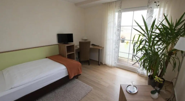 Одноместный номер Standard с балконом Landhotel Zum Hasen Hein