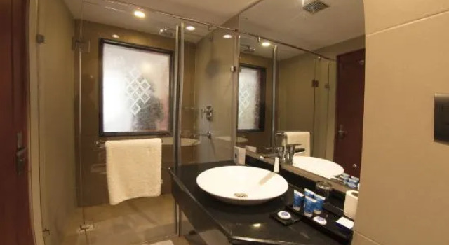 Двухместный номер Executive Royal Singi Hotel