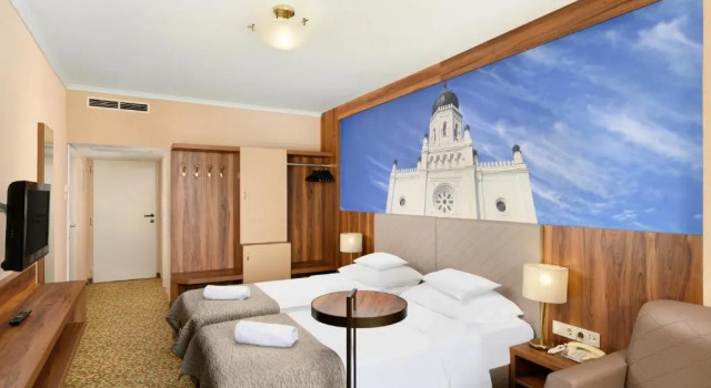 Номер Superior Aranyhomok Hotel Business & Relax