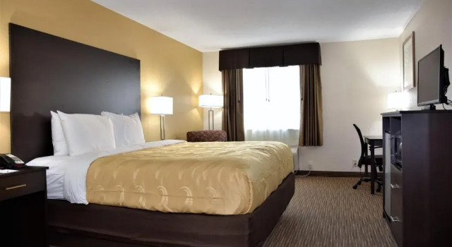 Standard- dobbelt værelse Quality Inn & Suites Metropolis I-24