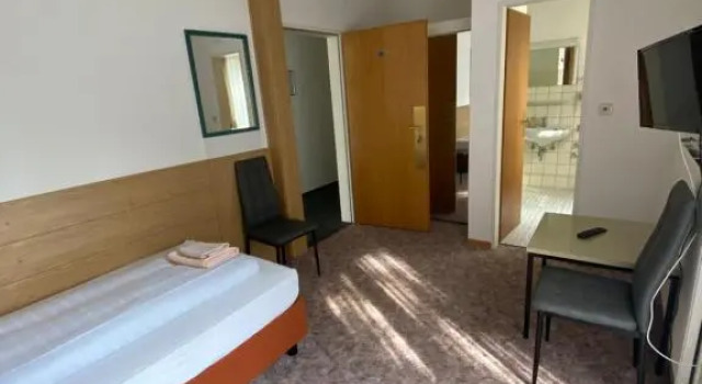Одноместный номер Standard с видом на сад Hotel Seehaus