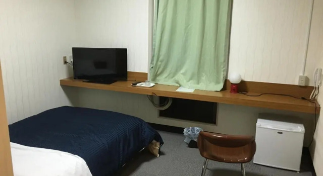 Одноместный номер Standard Ribera Inn