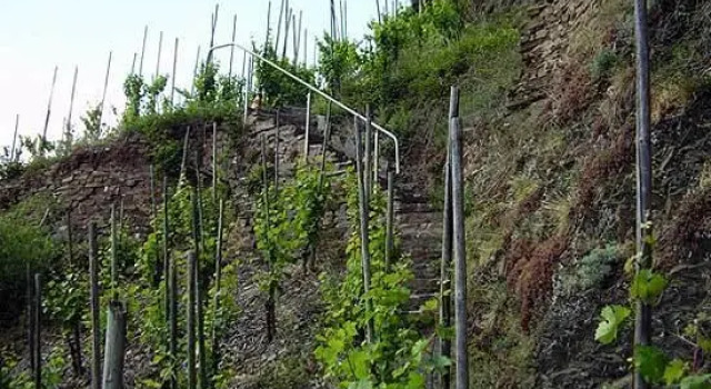 Vakantiewoning Eifel, Забронировать Апартаменты/квартира Лиг Хунсрюк