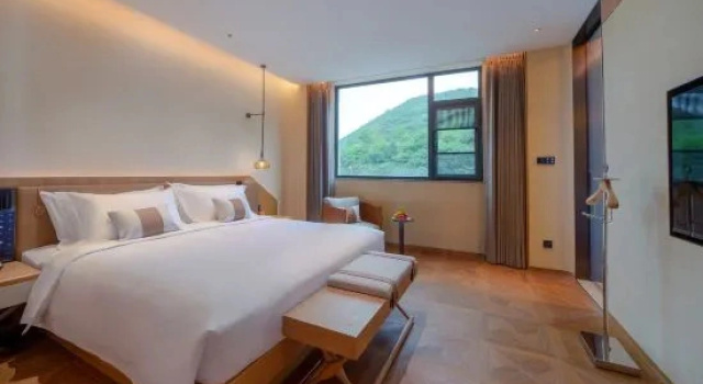 Люкс Premier Novotel Linfen Mount Yun