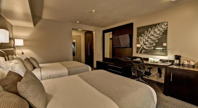 Четырёхместный номер Standard Hôtel Nouvelle-Frontière