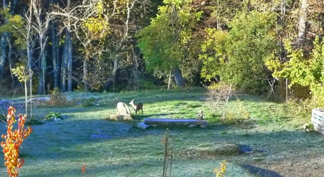 Le bois des cerfs, Varaa Hotelli Valdeblore 