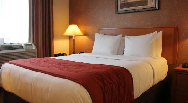 Номер Standard Bellerose Inn
