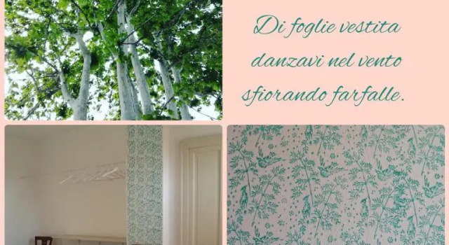 Трёхместный номер Standard Albero di Karta