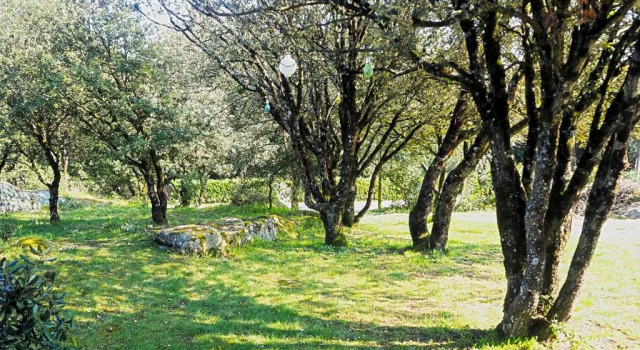 Шале Le Chalet du Moulin