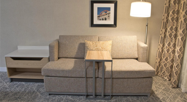 Люкс Hampton Inn & Suites Denver-Speer Boulevard