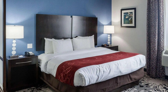 Люкс c 1 комнатой Comfort Suites Greenville