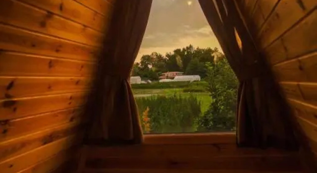 Номер Classic Sapanca Sahil Bungalow