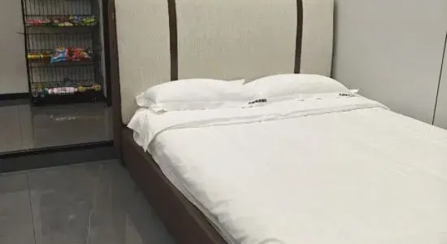 Номер Standard Dashe E-sports Homestay