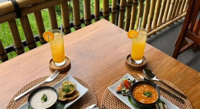The Manja Retreat Lovina Bali, Rezervovat Lázně / Resort Wellness hotely v Bali, SPA