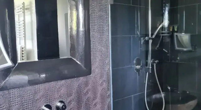 Двухместный номер Standard Villahotel Rheinblick