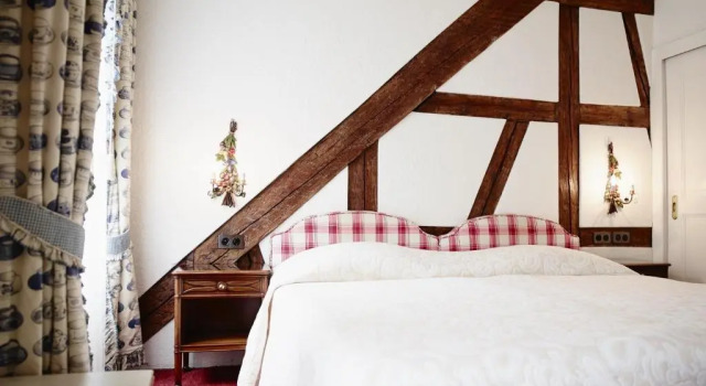 Одноместный номер Superior Romantik Hotel Wilden Mann Luzern