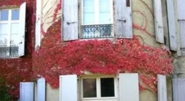 Chateau De Saint Michel De Lanes, Book Hotel Hotels in Saint-Michel-de-Lanes with Parking, Parking