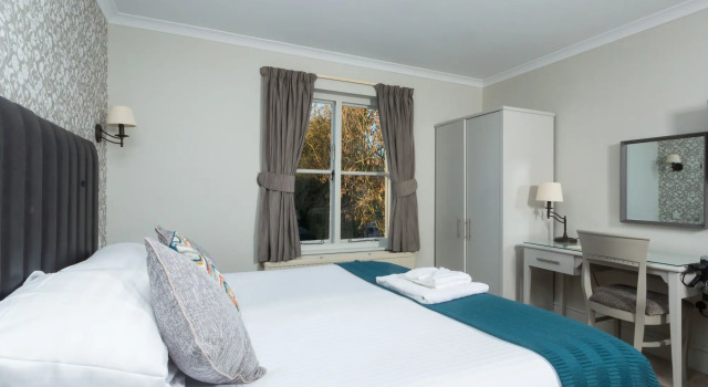 Dog & Bear Hotel