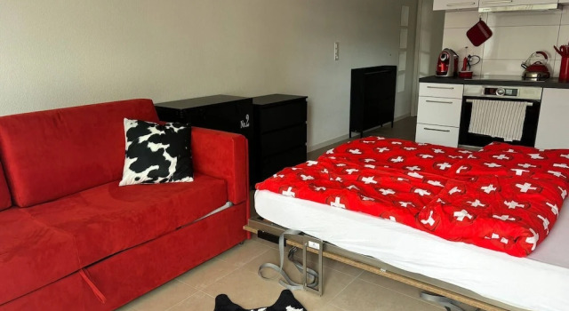 Grape Place With Washing Machine, Buchen Sie Ferienwohnung  