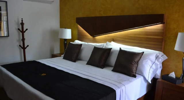 Люкс Hotel Boutique La Mansión Guadalajara