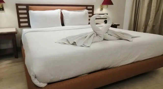 Двухместный номер Deluxe Hotel Maharaja Regency