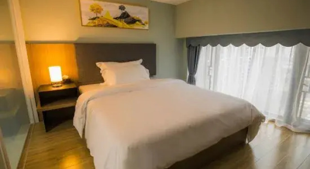 Двухместный люкс WB Holiday Inn (Foshan Daliang Qinghuiyuan Store)
