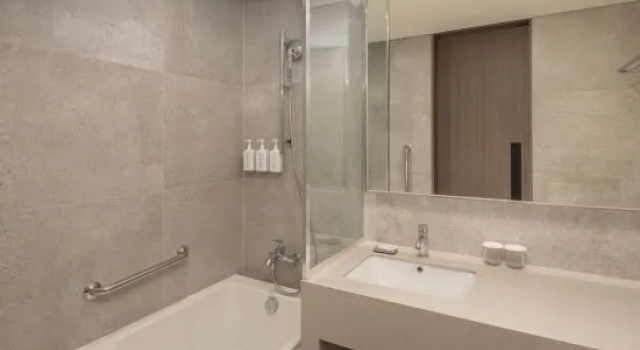 Номер Deluxe Hyatt Place Seoul Pangyo