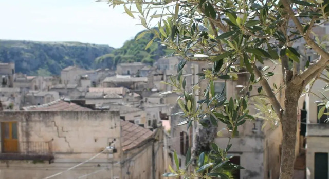 Люкс Antico Convicino Rooms Suites & SPA