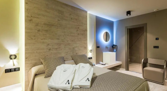 Номер Standard Hotel Spa Elia