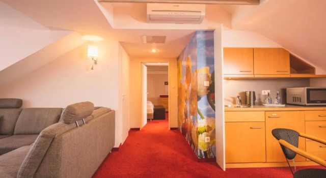 Люкс Hotel Luise