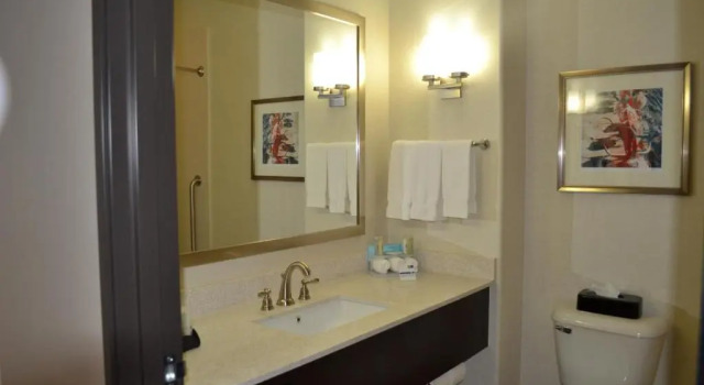 Люкс Deluxe Holiday Inn Express Hotel and Suites Duncan by IHG