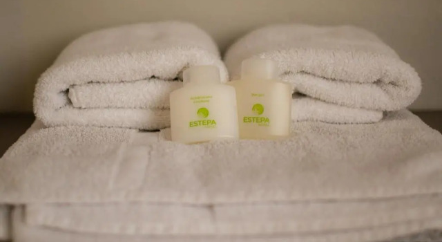 Номер Standard Estepa Hotel