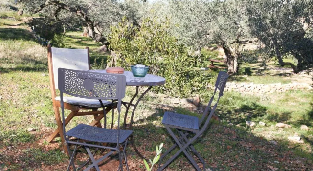 Yurta Mongola Delta del Ebro, Забронировать Отель Отели Камарлес с завтраком, Завтраки