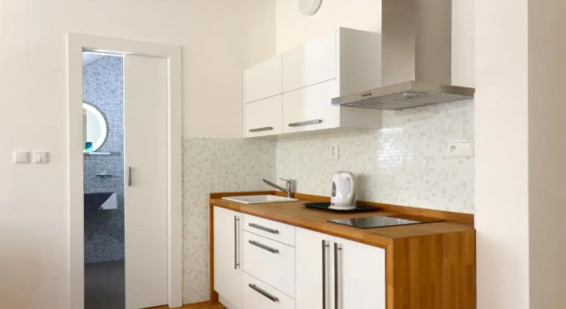 Апартаменты Business Bed and breakfast Placzek
