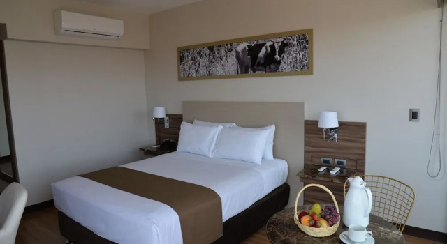 Двухместный номер Standard DM Hoteles Moquegua