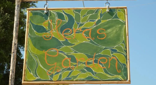Студия Standard Heras Garden