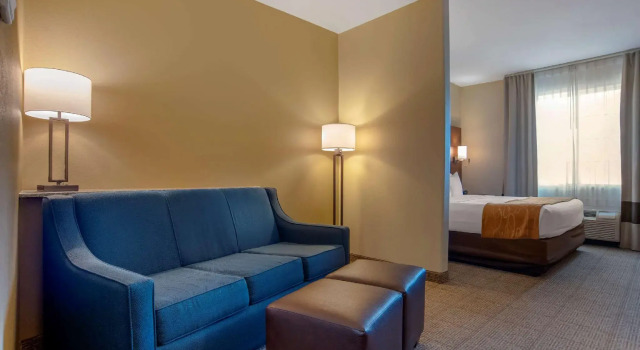 Люкс c 1 комнатой Comfort Suites Alexandria North