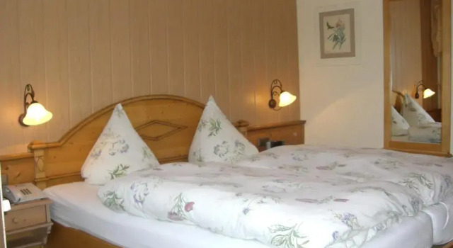 Номер Standard Hotel Dachsberger-Hof