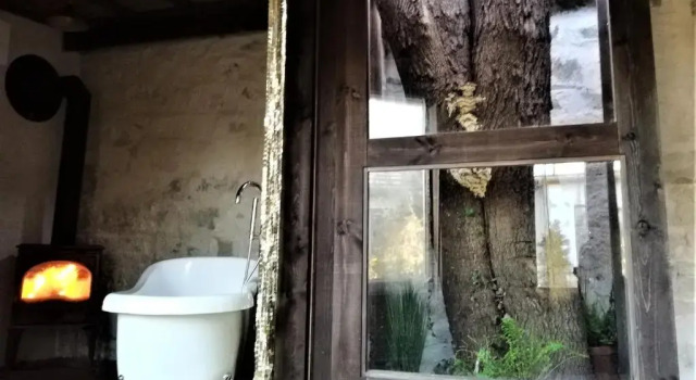 Бунгало Deluxe Vinoteegi Residents