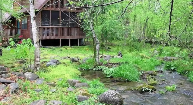 Четырёхместный номер Standard с 2 комнатами Honeymoon Hills Gatlinburg Cabin Rentals