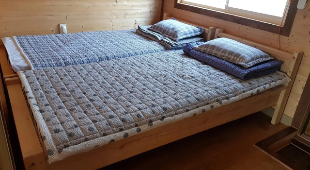 Номер Standard с панорамным видом tree house