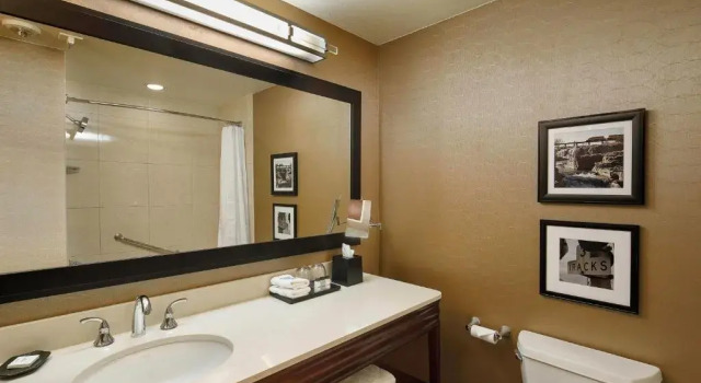 Двухместный номер Standard Цокольный этаж Sheraton Sioux Falls Hotel & Convention Center